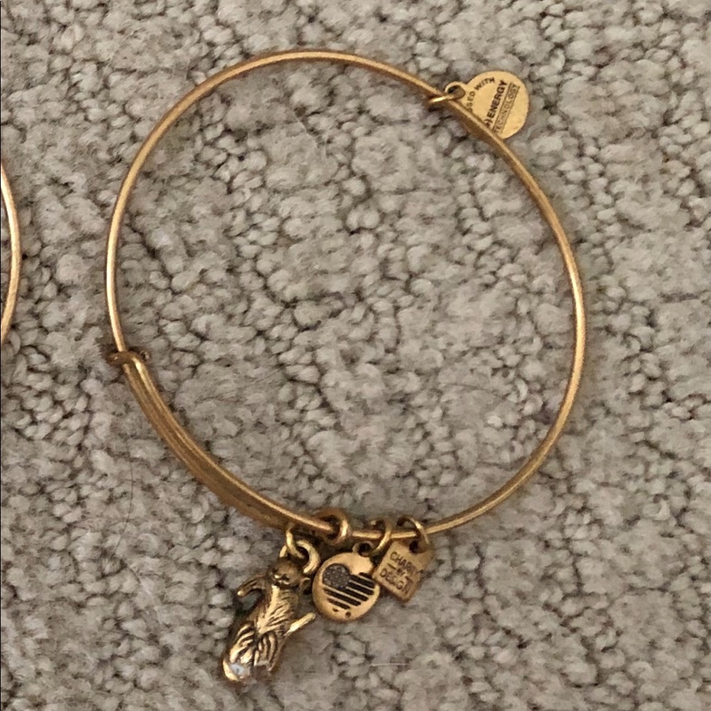 Gold otter Alex and ani bracelet